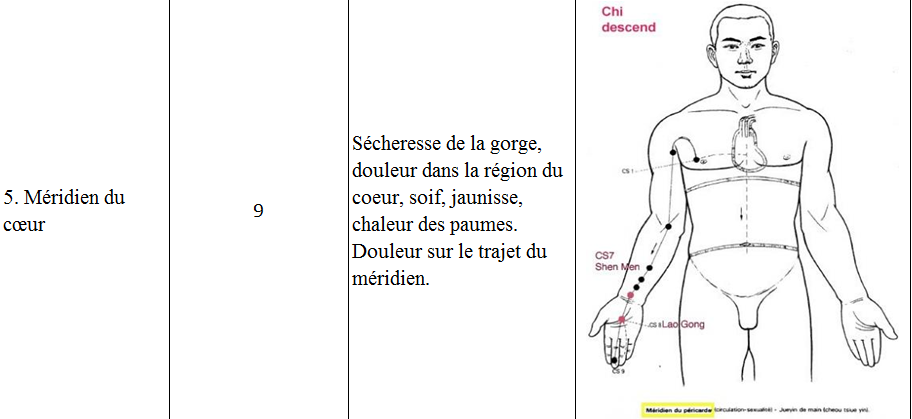 Meridien coeur 5
