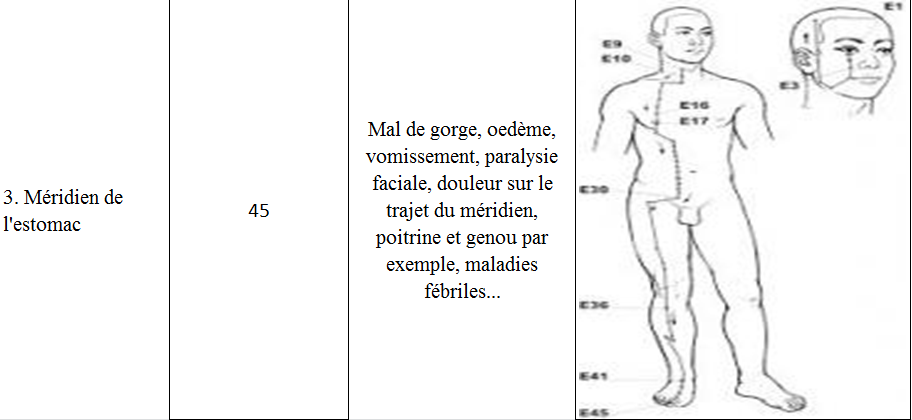 Meridien estomac 3