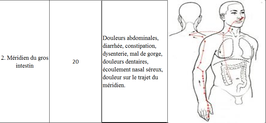 Meridien gros intestin 3