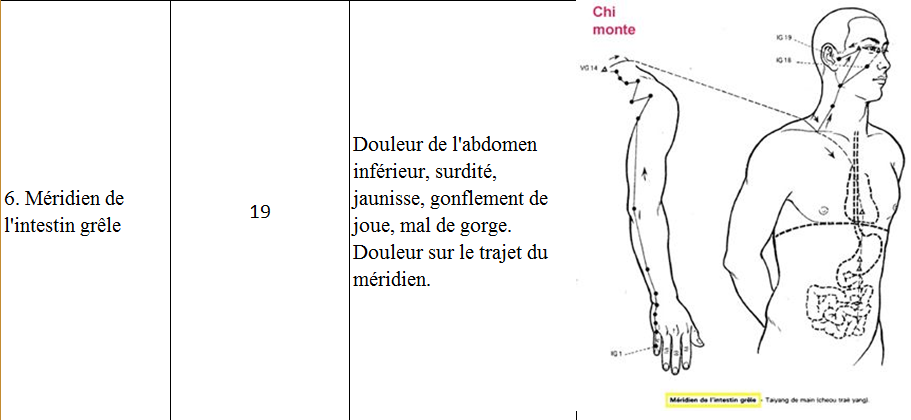 Meridien intestin grele 6