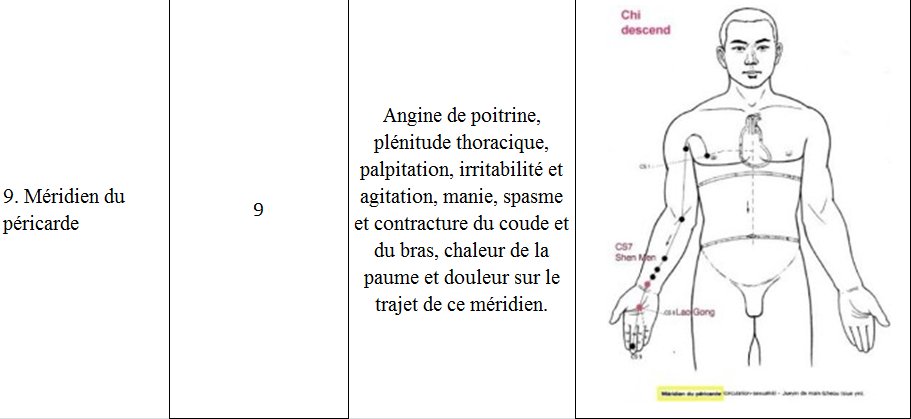Meridien pericarde 9