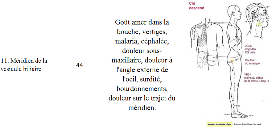 Meridien vesicule biliaire 11